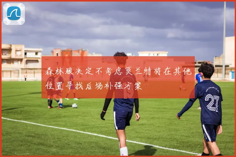 森林狼决定不考虑莫兰特将在其他位置寻找后场补强方案